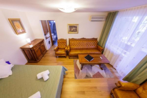 Apartament Vintage Rivulus